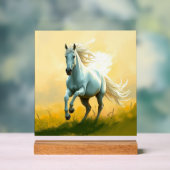 ISC: 15 Kunst Acryl Bord (Neutraal)