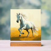ISC: 18 Kunst Acryl Bord (Neutraal)