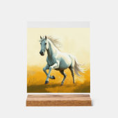 ISC: 18 Kunst Acryl Bord (Voorkant)