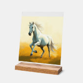 ISC: 18 Kunst Acryl Bord (Hoek)