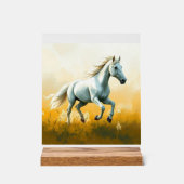 ISC: 19 Kunst Acryl Bord (Voorkant)