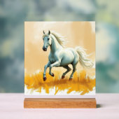 ISC: 21 Enseigne Acrylique Art (Neutre)