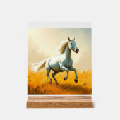 ISC: 23 Kunst Acryl Bord (Voorkant)