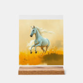 ISC: 26 Kunst Acryl Bord (Voorkant)