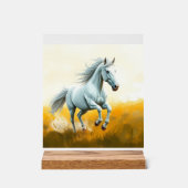 ISC: 4 Kunst Acryl Bord (Voorkant)