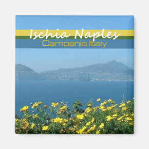 Ischia Napels Campania Italië Reis Photo Magnets Magneet