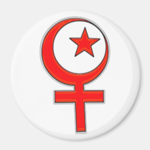 Islamitisch feminisme... magneet