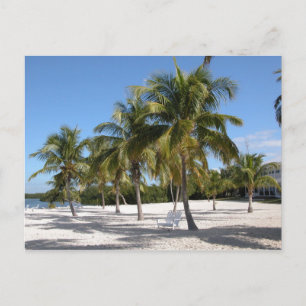 Islamorada Florida Beach Briefkaart