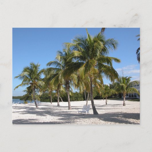 Islamorada Florida Beach Briefkaart (Voorkant)