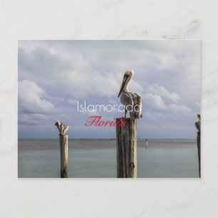 Islamorada, Florida Holiday Briefkaart