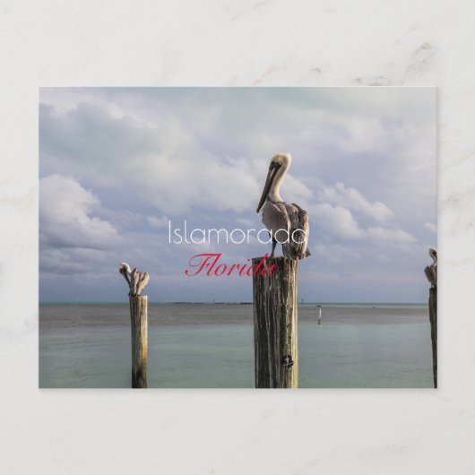 Islamorada, Florida Holiday Briefkaart (Voorkant)