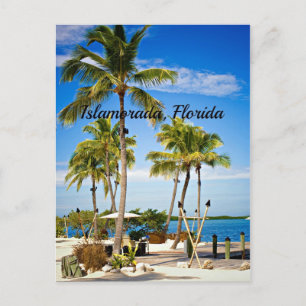 Islamorada, palmbomen in Florida Briefkaart
