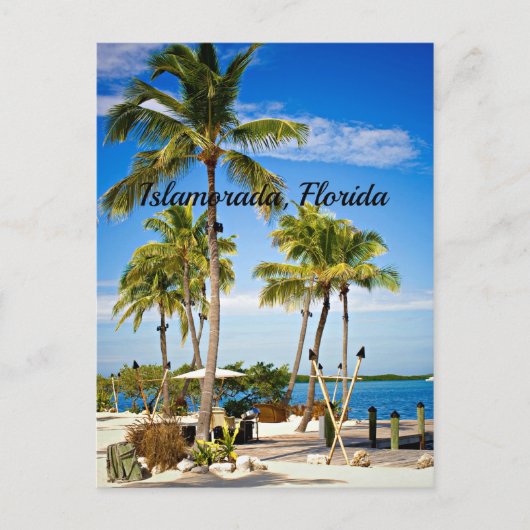 Islamorada, palmbomen in Florida Briefkaart (Voorkant)