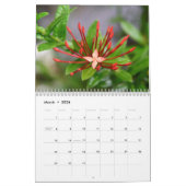 Island Art Tropical Calendar Kalender (Mar 2026)