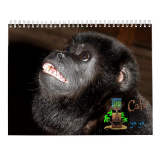 Island Art Tropical Calendar Kalender