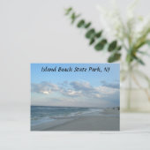 Island Beach State Park, carte postale NJ (Debout devant)
