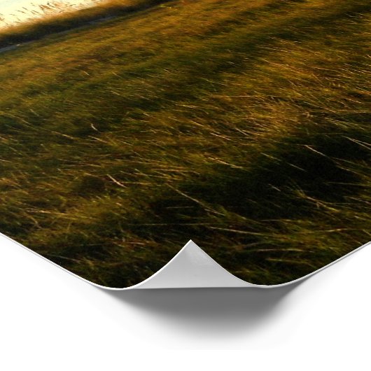 Island Grass Poster (Hoek)