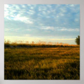 Island Grass Poster (Voorkant)