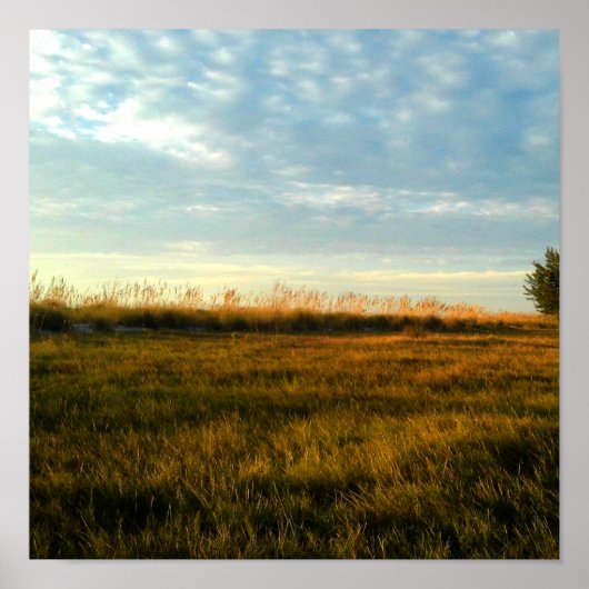 Island Grass Poster (Voorkant)