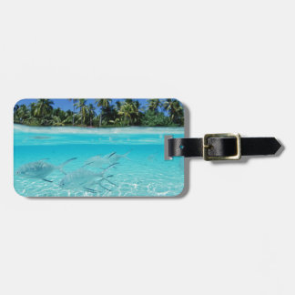 Island Paradise Bagagelabel