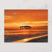 Island Paradise Briefkaart (Voorkant)