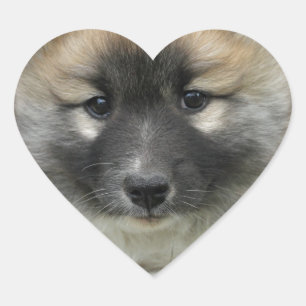 Islandhund Hart Sticker