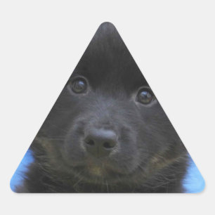 Islandhund - IJslandse Sheepdog Driehoek Sticker