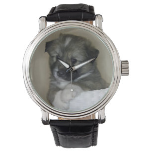 Islandhund - IJslandse Sheepdog Horloge