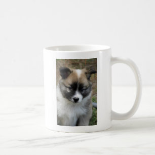 Islandhund Koffiemok
