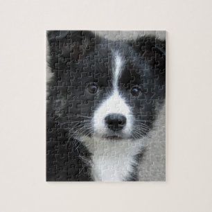Islandhund Legpuzzel