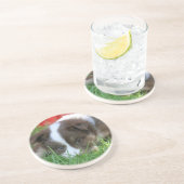 Islandhund Zandsteen Onderzetter (Zijkant)