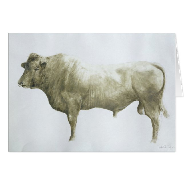 Islay Bull 2004 (Voorkant Horizontaal)