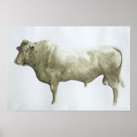 Islay Bull 2004 Poster (Voorkant)
