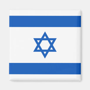 Israel Flag Magnet Magneet