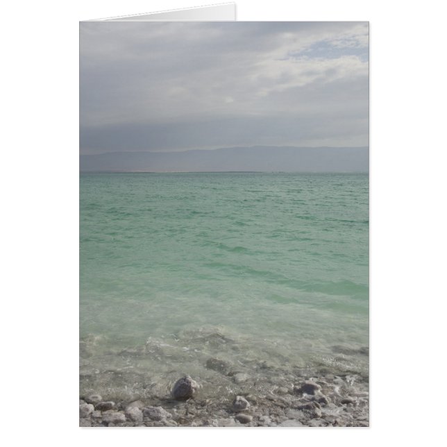 Israël, mer Morte, paysage marin (Devant)