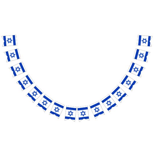 Israël vlag blauw wit patriottische bunting banner (Alle)