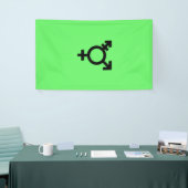 Israeli Transgender Pride Flag  Spandoek (Beurs)