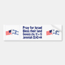 Israëlische & Amerikaanse vlaggencollectie