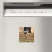 Israëlische Gazelle Magneet (Insitu (Vaatwasser))