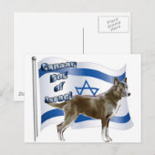 Israëlische hond van Canaan Briefkaart (Voorkant / Achterkant)