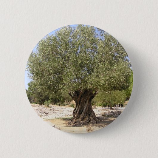 Israëlische olijventeelt ronde button 5,7 cm (Voorkant)