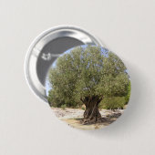 Israëlische olijventeelt ronde button 5,7 cm (Voorkant /achterkant)