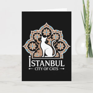 Istanbul Stad Van Katten Turks Erfgoed Hagia Sophi Kaart