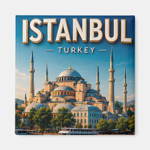Istanbul Turkije Hagia Sophia Bosporus Cultureel Magneet
