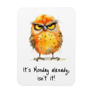 It’s Monday Already Isn’t It Grumpy Bird Funny Magneet