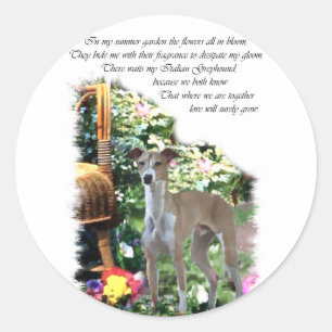 Italiaans Greyhound Art Gifts Ronde Sticker