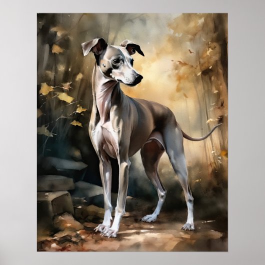 Italiaans Greyhound Dog Art Print Poster (Voorkant)