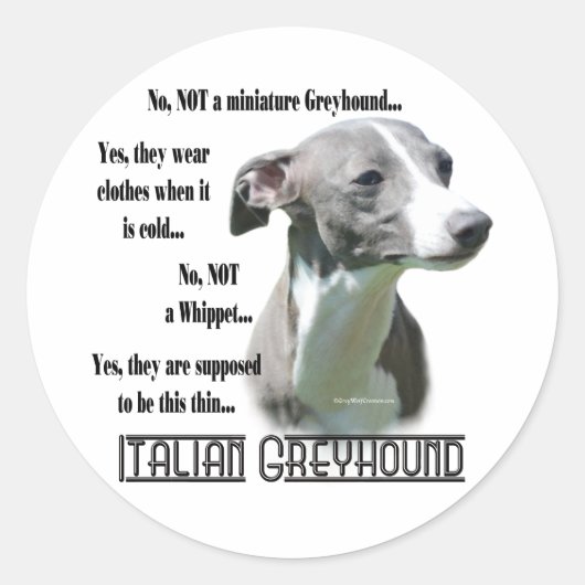 Italiaans Greyhound FAQ Sticker (Voorkant)