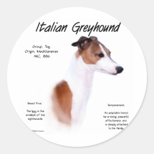 Italiaans Greyhound Geschiedenis Ontwerp Ronde Sticker