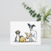 Italiaans Greyhound Trio Briefkaart (Staand voorkant)